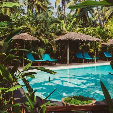 Devarya Wellness Beach Resort Морджим Екстериор снимка